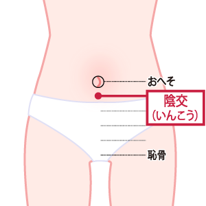 生理中の不快な症状をやわらげるツボ「陰交」の位置